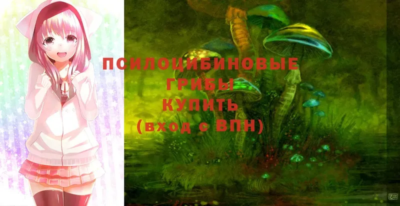 продажа наркотиков  Верхоянск  Галлюциногенные грибы Cubensis 